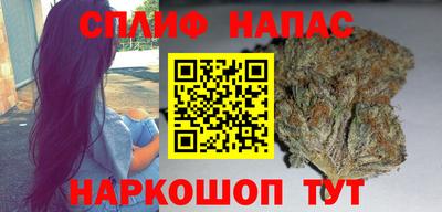 PSILOCYBIN Нальчик