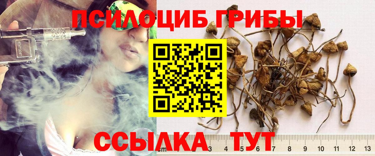 Галлюциногенные грибы мухоморы Тихвин