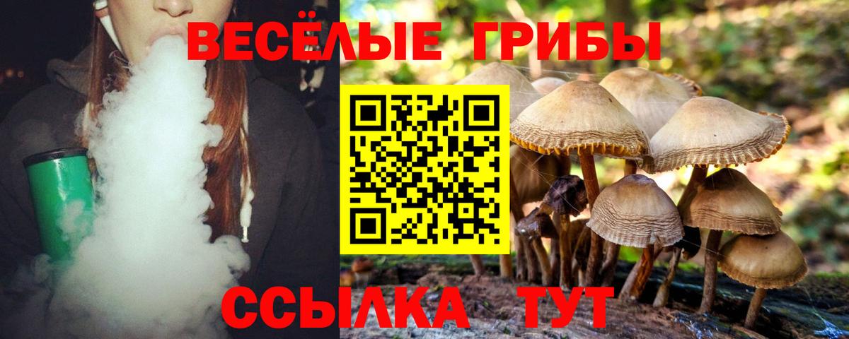 Псилоцибиновые грибы прущие грибы  как найти наркотики  Тихвин  Вход с VPN 